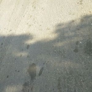 Meet your Posher, Markeisha